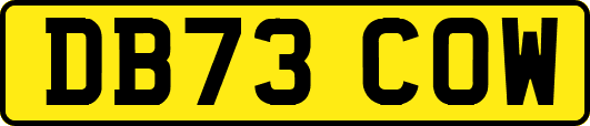 DB73COW