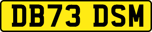 DB73DSM