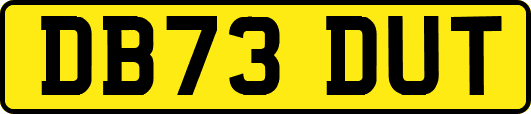 DB73DUT