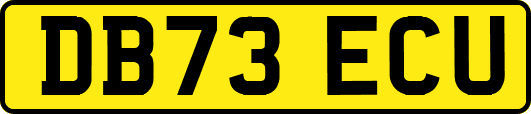 DB73ECU