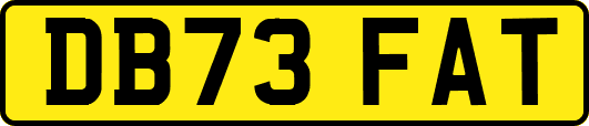 DB73FAT
