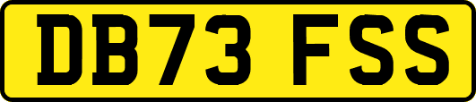 DB73FSS