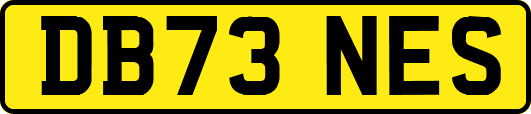 DB73NES