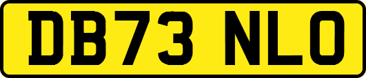 DB73NLO
