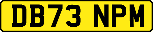DB73NPM