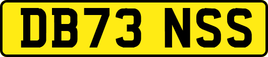 DB73NSS
