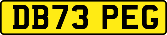 DB73PEG