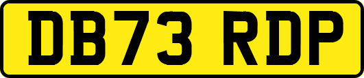 DB73RDP