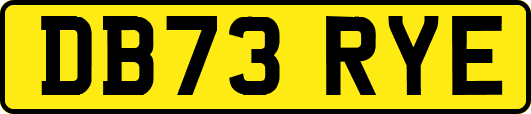 DB73RYE