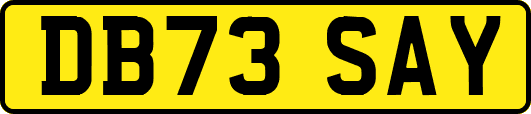 DB73SAY