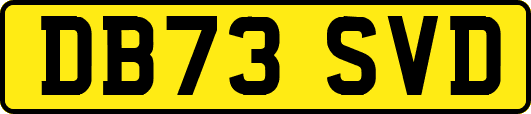 DB73SVD