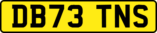 DB73TNS