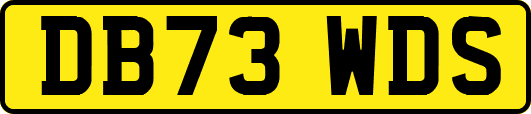 DB73WDS