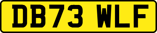 DB73WLF