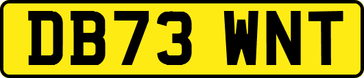 DB73WNT