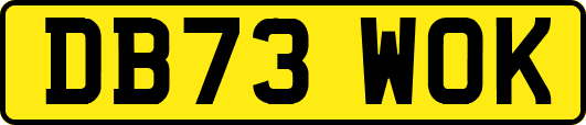 DB73WOK