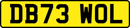 DB73WOL