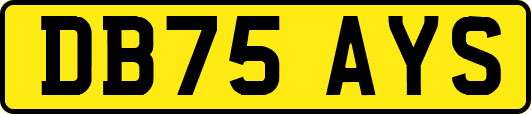 DB75AYS