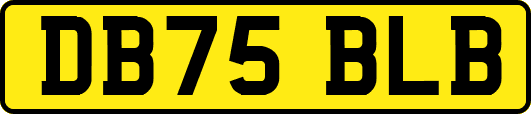 DB75BLB
