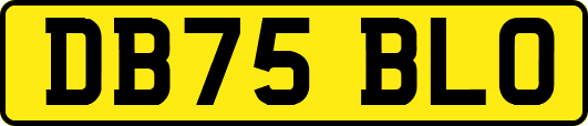 DB75BLO