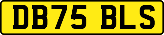 DB75BLS