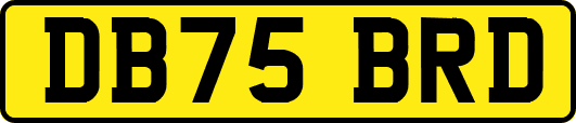 DB75BRD