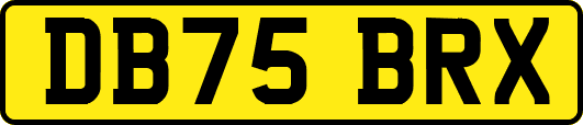 DB75BRX