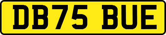 DB75BUE