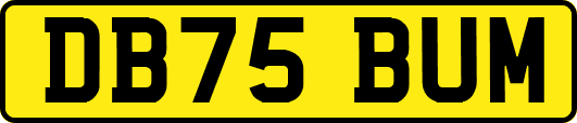 DB75BUM