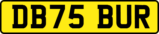 DB75BUR