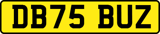 DB75BUZ