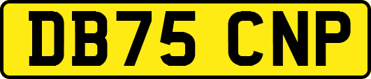 DB75CNP