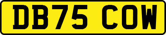 DB75COW