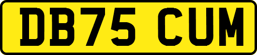 DB75CUM