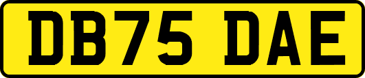 DB75DAE