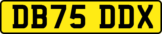 DB75DDX