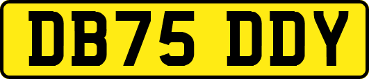 DB75DDY