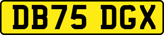 DB75DGX