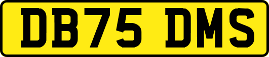 DB75DMS
