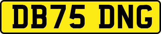 DB75DNG