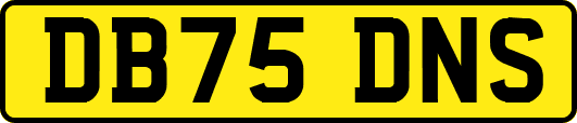 DB75DNS