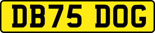 DB75DOG