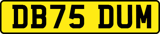 DB75DUM