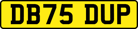 DB75DUP