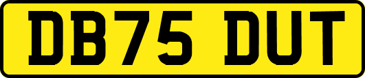 DB75DUT