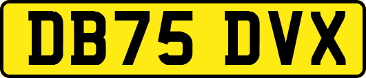DB75DVX