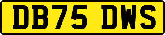 DB75DWS