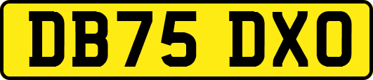 DB75DXO