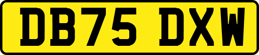 DB75DXW