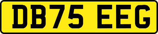 DB75EEG